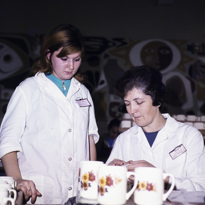 minerva_dn_1973_675_faianta_sighisoara_002