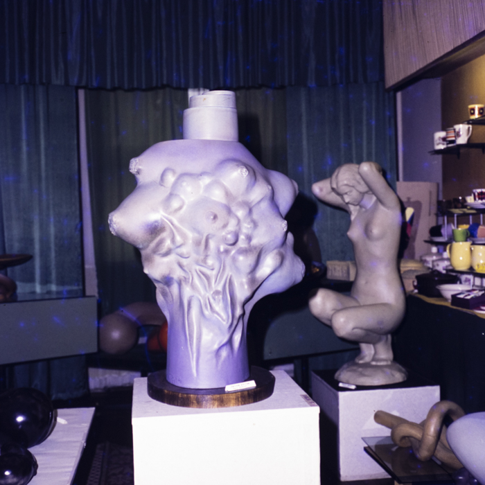 minerva_dn_1973_675_faianta_sighisoara_007