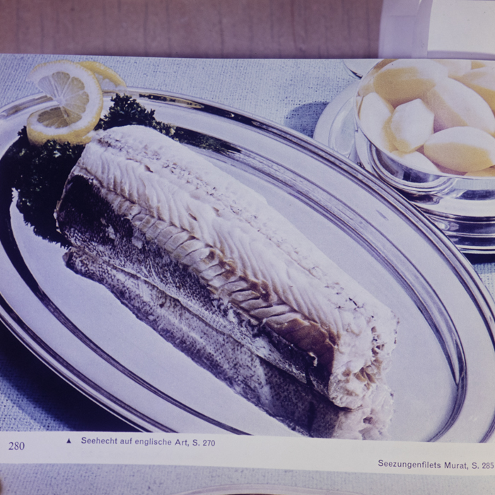 minerva_dn_1973_677_reproduceri_018