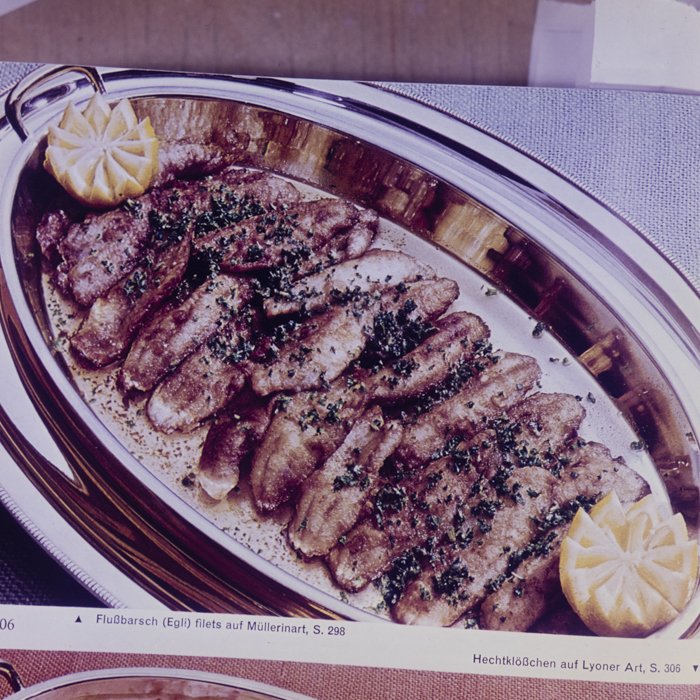 minerva_dn_1973_677_reproduceri_019