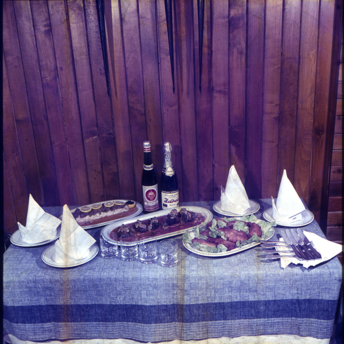 minerva_dn_1973_678_reproduceri_arta_plastica_002-2