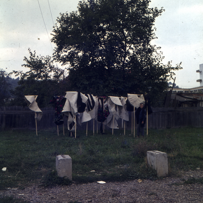 minerva_dn_1973_678_reproduceri_arta_plastica_011