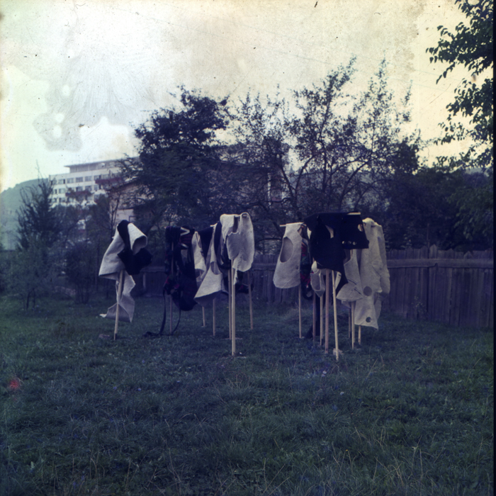 minerva_dn_1973_678_reproduceri_arta_plastica_012-2