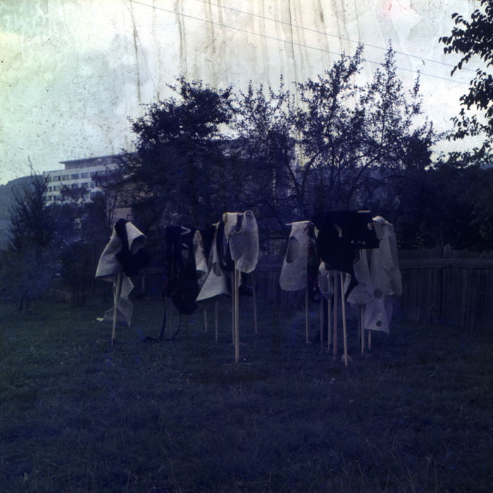 minerva_dn_1973_678_reproduceri_arta_plastica_013