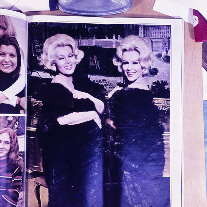 minerva_dn_1973_681_reproduceri_001