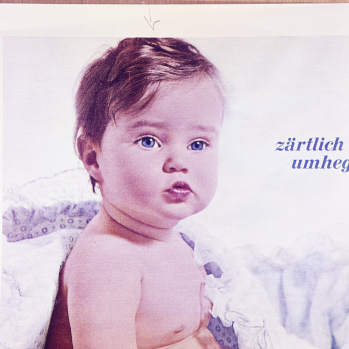 minerva_dn_1973_681_reproduceri_004