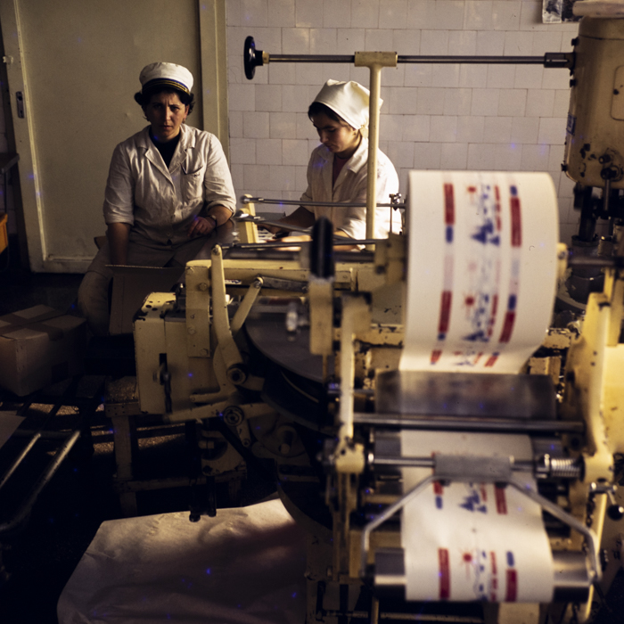 minerva_dn_1973_685_icjl_cluj_001