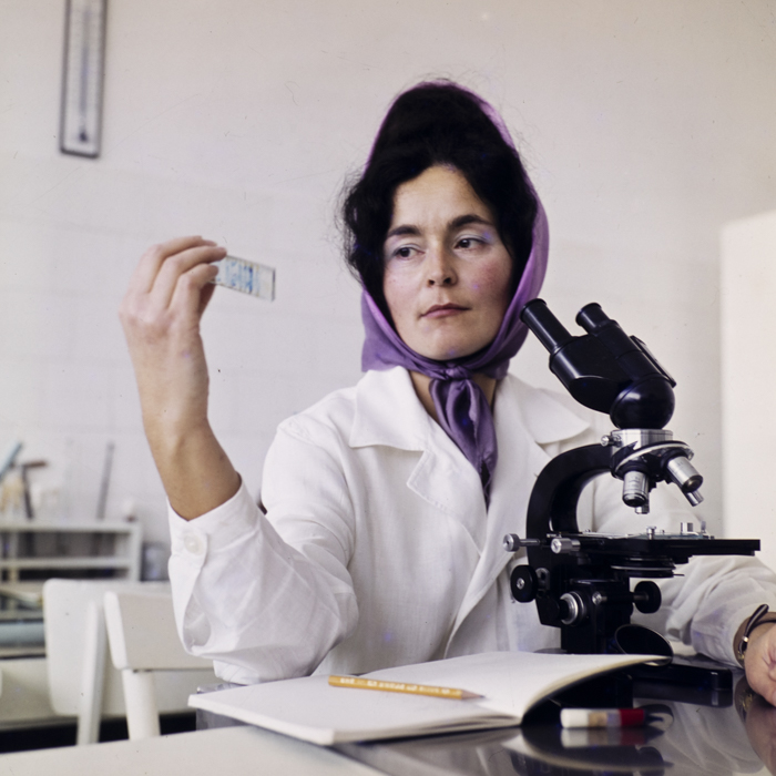 minerva_dn_1973_685_icjl_cluj_005