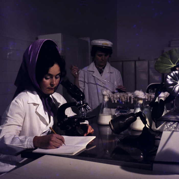 minerva_dn_1973_685_icjl_cluj_006