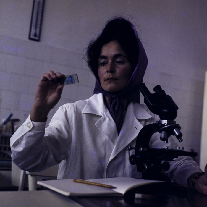 minerva_dn_1973_685_icjl_cluj_007