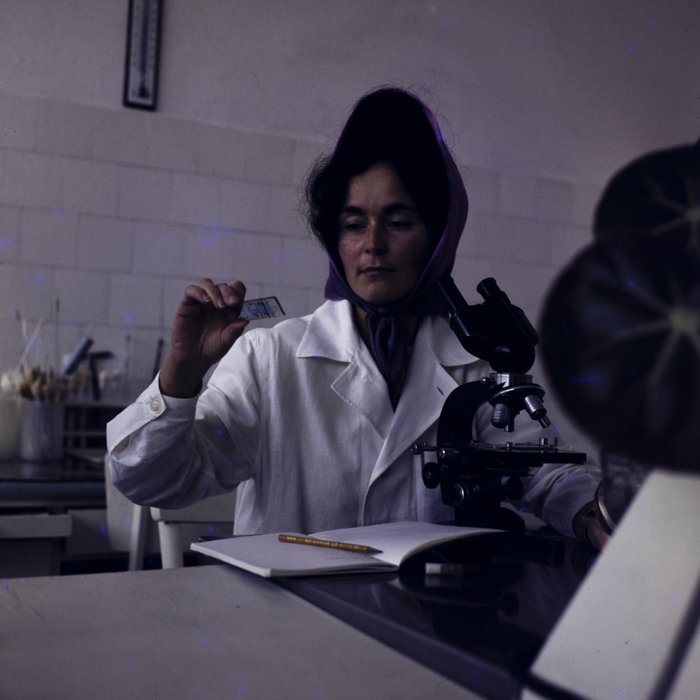 minerva_dn_1973_685_icjl_cluj_008