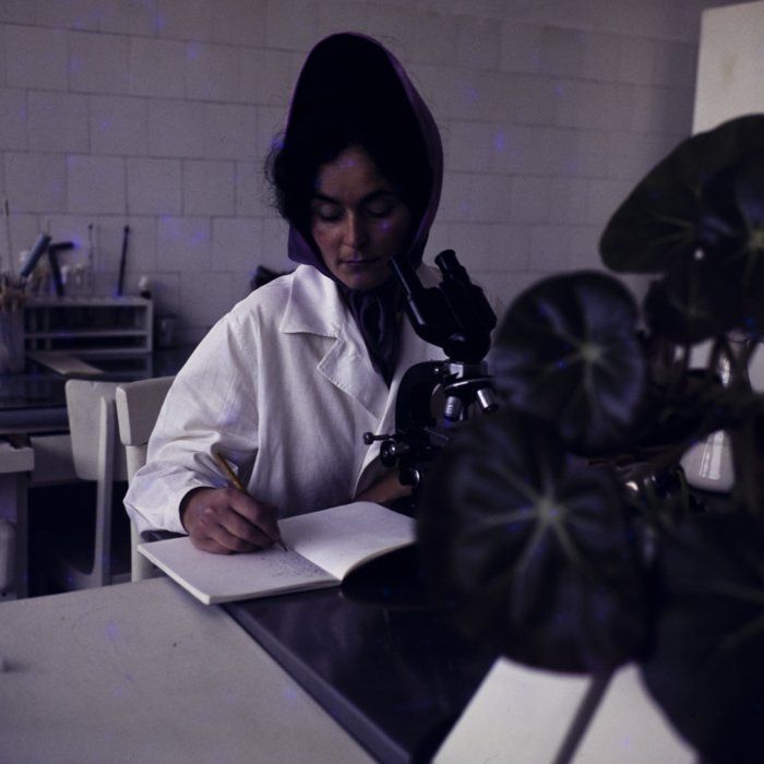 minerva_dn_1973_685_icjl_cluj_009