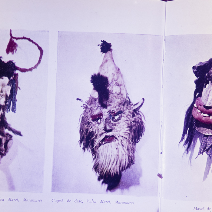 minerva_dn_1973_687_reproduceri_moda_003