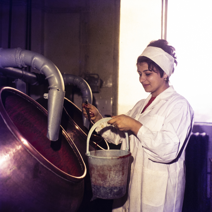 minerva_dn_1973_dn_662_rulmentul_brasov_014