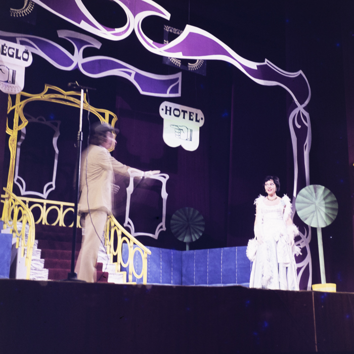 minerva_dn_1974_673_satu_mare_kekes_katalin_006