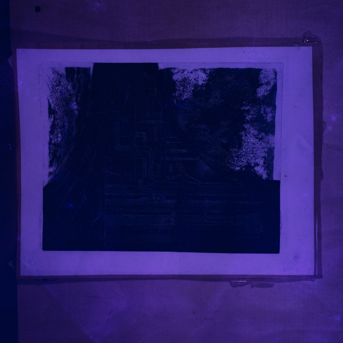 minerva_dn_1974_683_soo_zold_margit_001