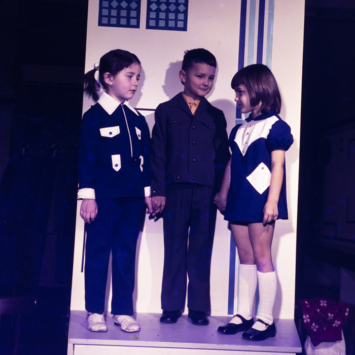 minerva_dn_1974_685_reclama_comert_014