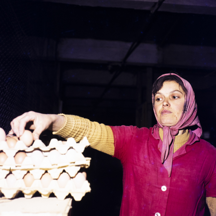 minerva_dn_1974_690_c.a.p_szalonta_001