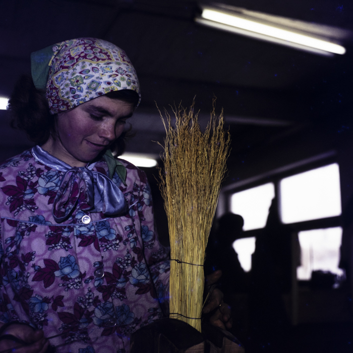 minerva_dn_1974_690_c.a.p_szalonta_010