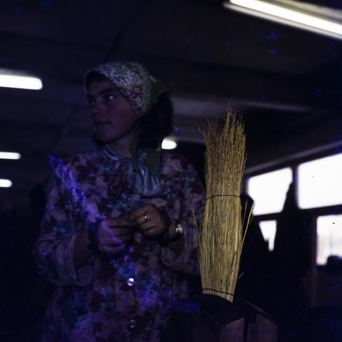 minerva_dn_1974_690_c.a.p_szalonta_011