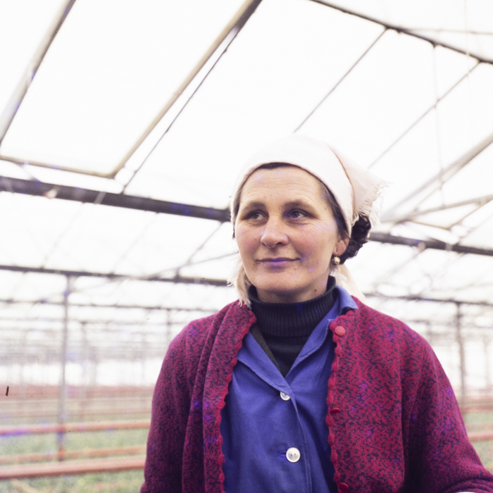 minerva_dn_1974_690_c.a.p_szalonta_012