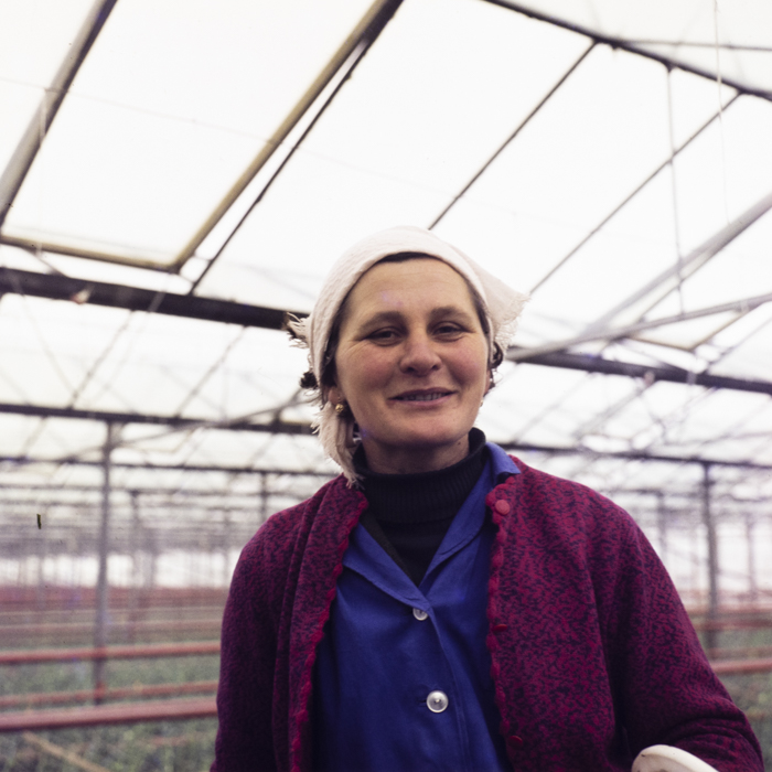 minerva_dn_1974_690_c.a.p_szalonta_021