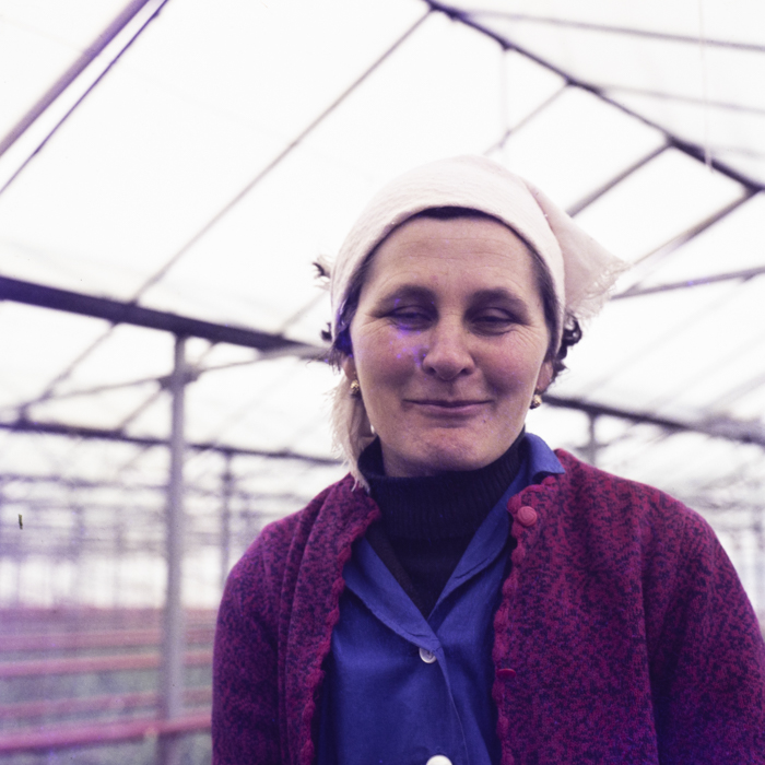 minerva_dn_1974_690_c.a.p_szalonta_022