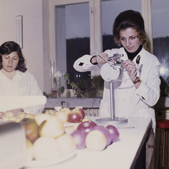 minerva_dn_1976_1991_statiune_pomicultura_bistrita_002