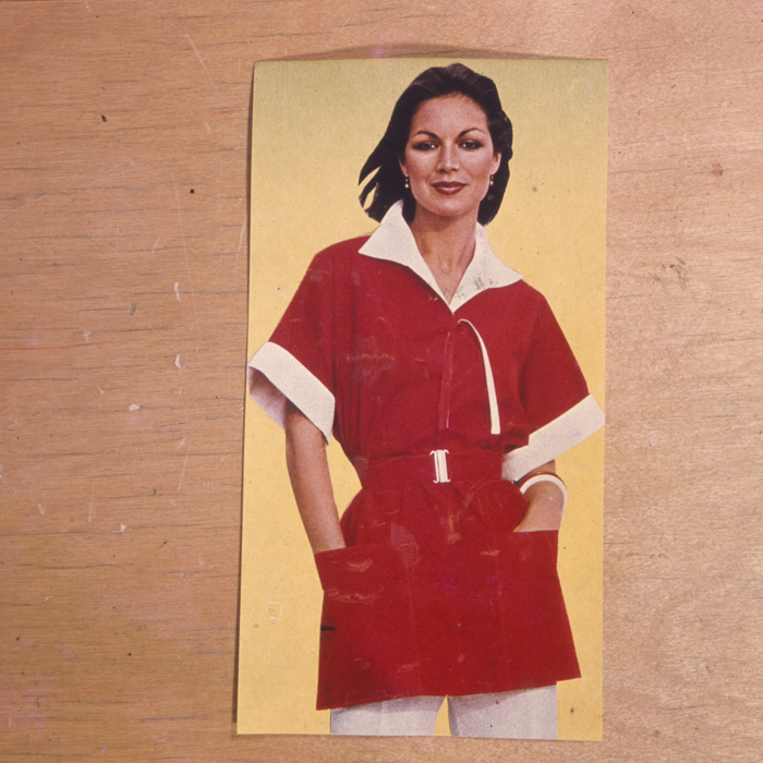 minerva_dn_1977_2004_reproduceri_003