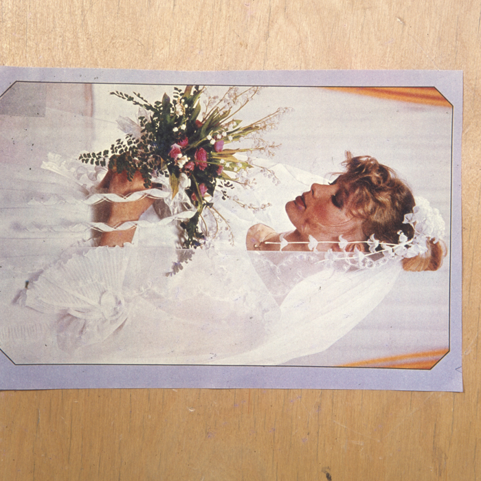 minerva_dn_1977_2004_reproduceri_005