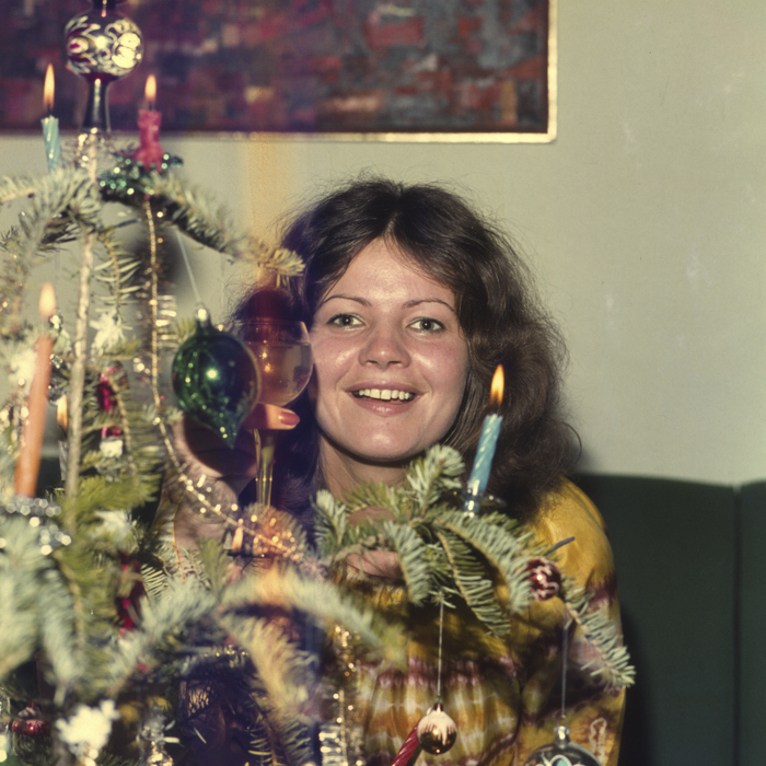 minerva_dn_1977_2005_pom_de_iarna_vinczefi_erzsike_004