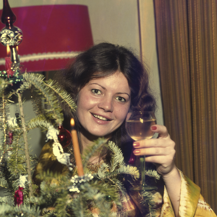 minerva_dn_1977_2005_pom_de_iarna_vinczefi_erzsike_005