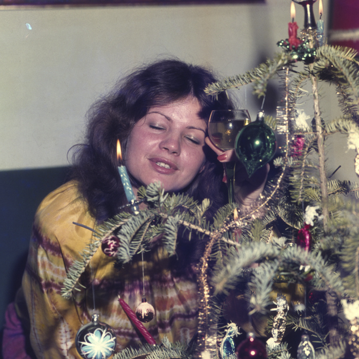 minerva_dn_1977_2005_pom_de_iarna_vinczefi_erzsike_006