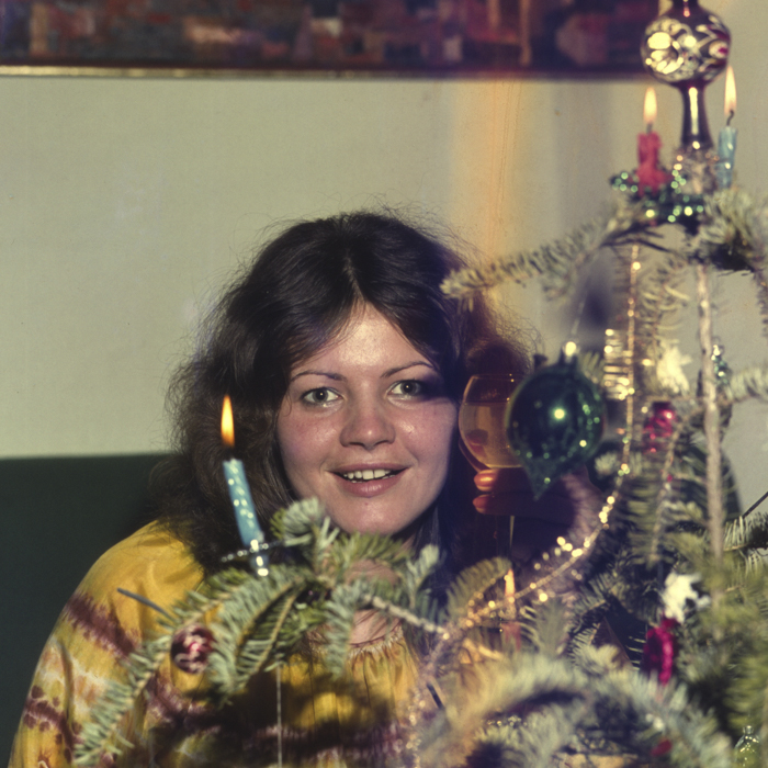 minerva_dn_1977_2005_pom_de_iarna_vinczefi_erzsike_008