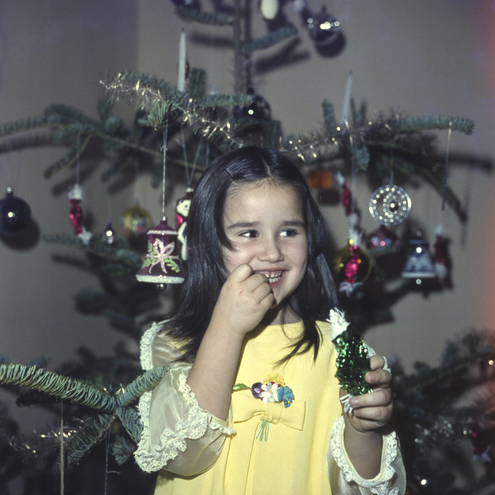 minerva_dn_1977_2006_pom_de_iarna_002