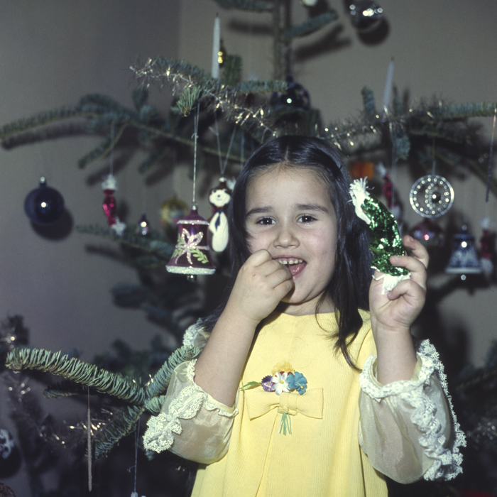 minerva_dn_1977_2006_pom_de_iarna_003