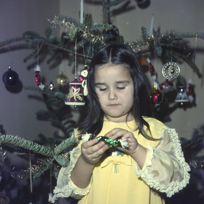 minerva_dn_1977_2006_pom_de_iarna_004