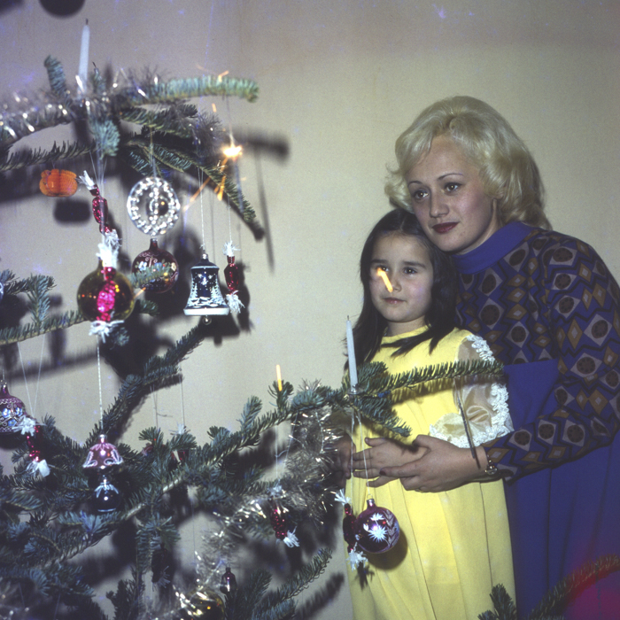 minerva_dn_1977_2006_pom_de_iarna_005