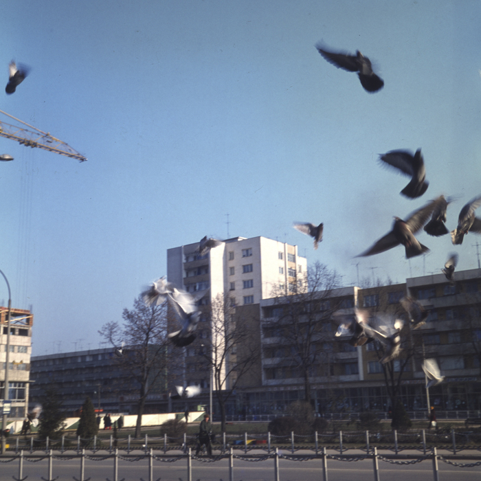 minerva_dn_1977_2007_aspecte_giurgiu_004