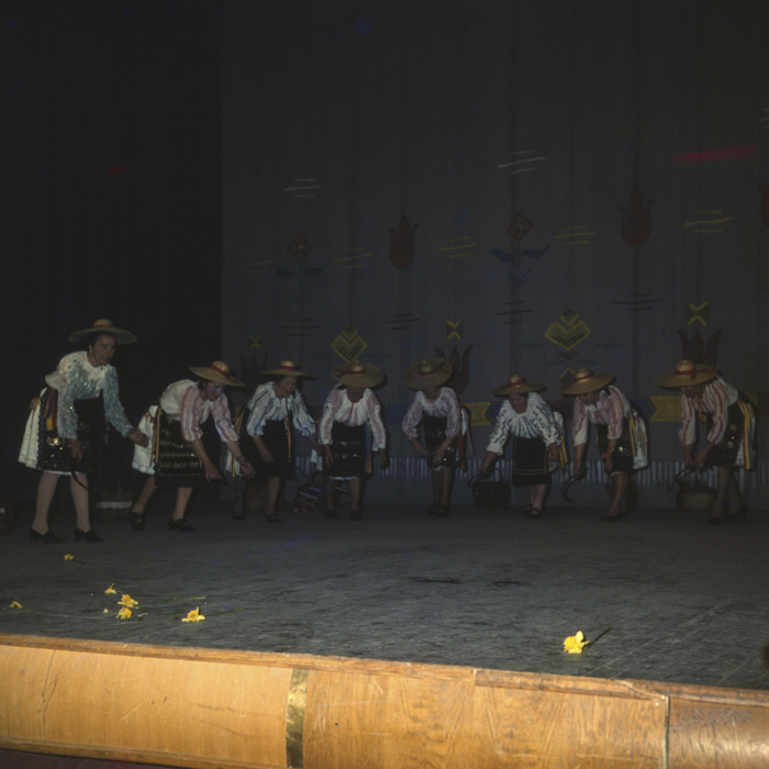 minerva_dn_1977_2221_cantarea_romaniei_baza_judeteana_de_dansuri_cluj_001