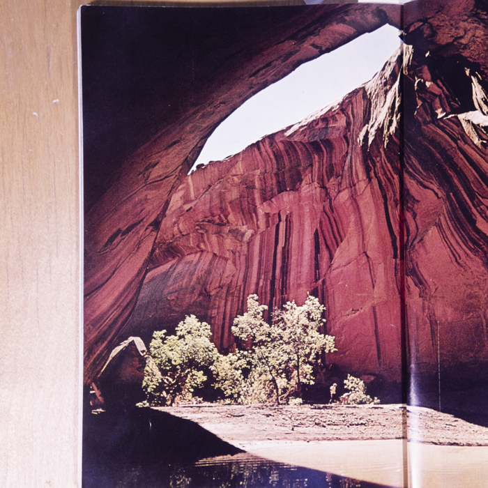 minerva_dn_1977_2222_reproduceri_curiozitati_005