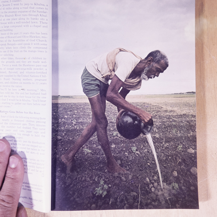 minerva_dn_1977_2222_reproduceri_curiozitati_006