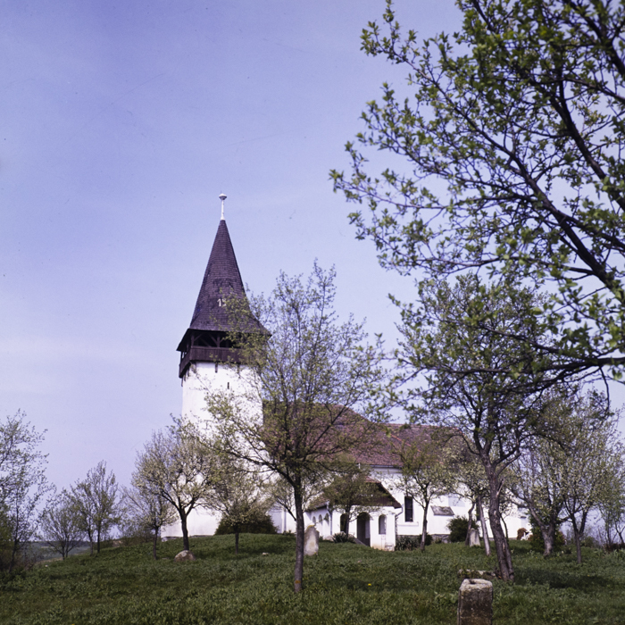 minerva_dn_1977_2225_com_sanmiclaus_jud_alba_003