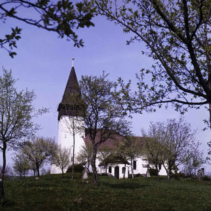 minerva_dn_1977_2225_com_sanmiclaus_jud_alba_004