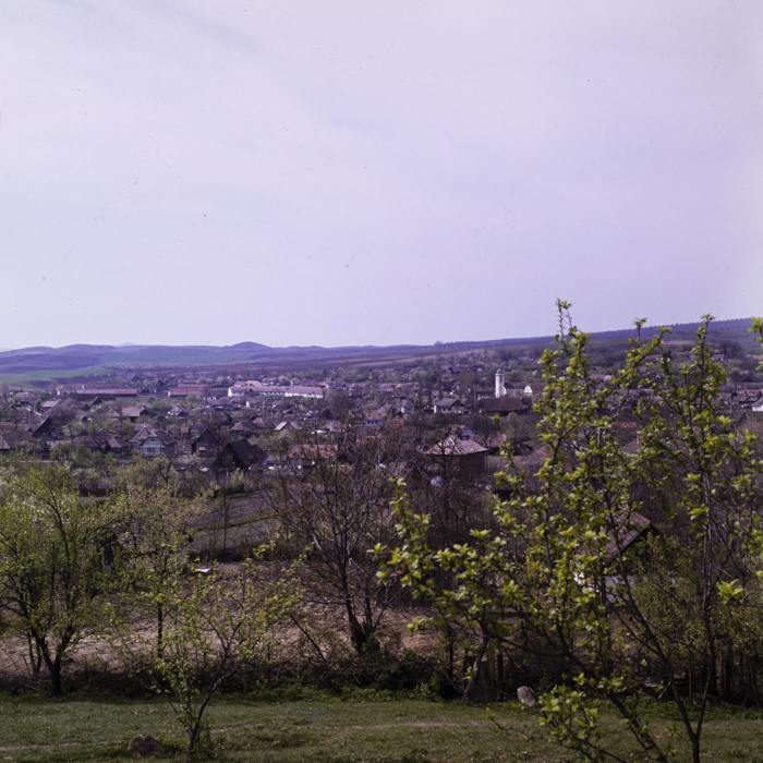 minerva_dn_1977_2225_com_sanmiclaus_jud_alba_005