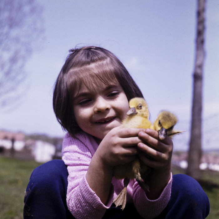 minerva_dn_1977_2225_com_sanmiclaus_jud_alba_006