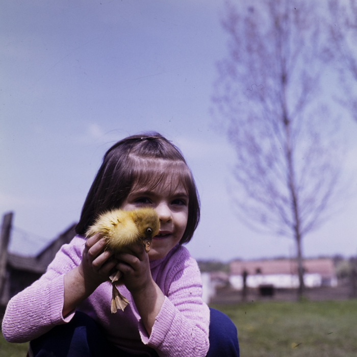 minerva_dn_1977_2225_com_sanmiclaus_jud_alba_007