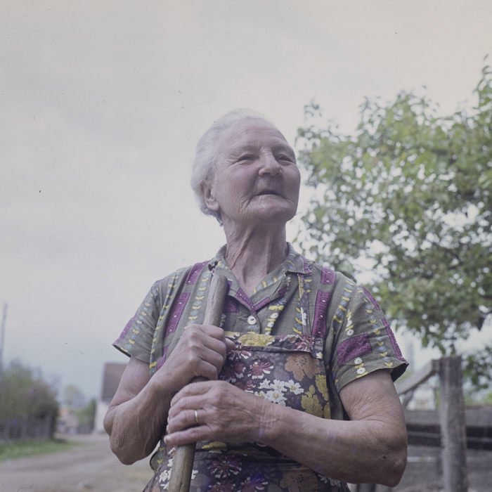 minerva_dn_1977_2234_c.a.p_borosnen_004