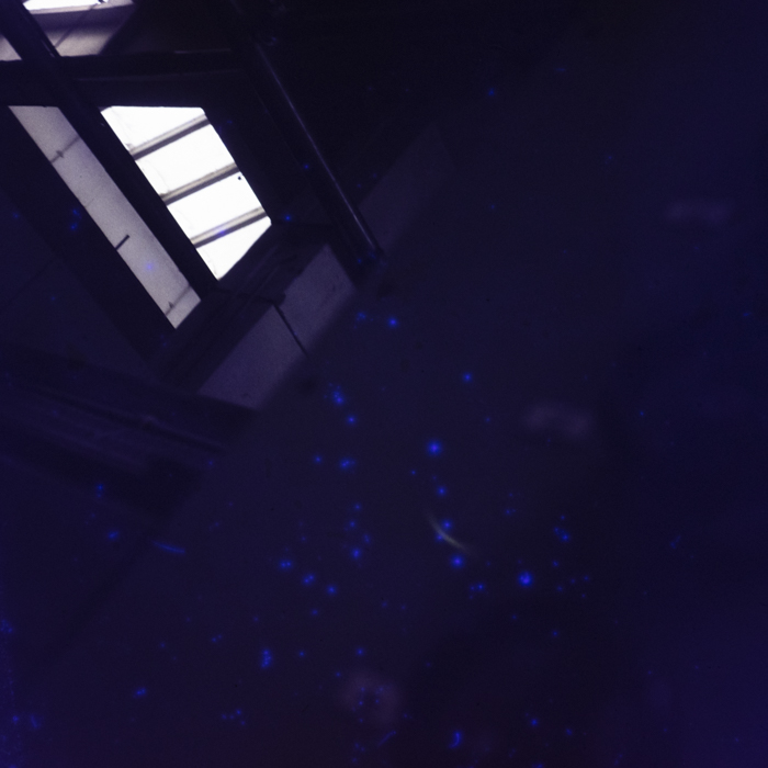 minerva_dn_1977_2235_marasesti_002