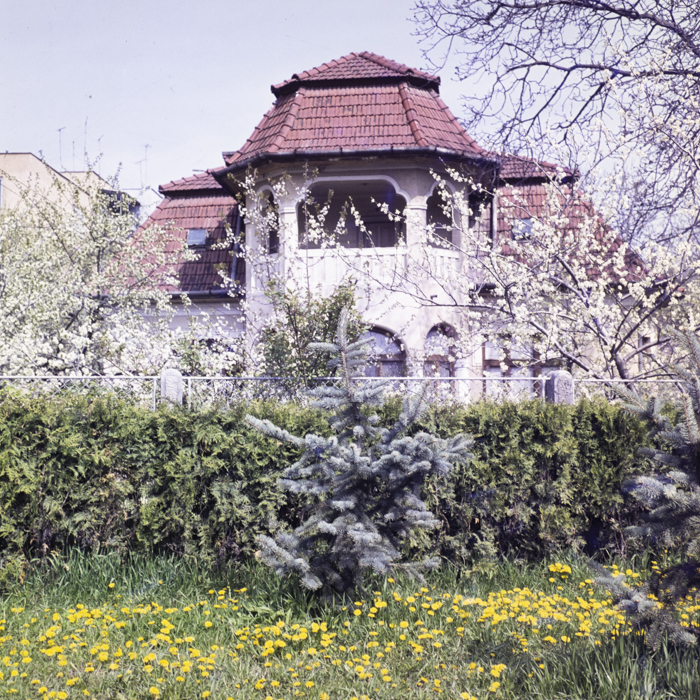 minerva_dn_1977_2238_flori_002